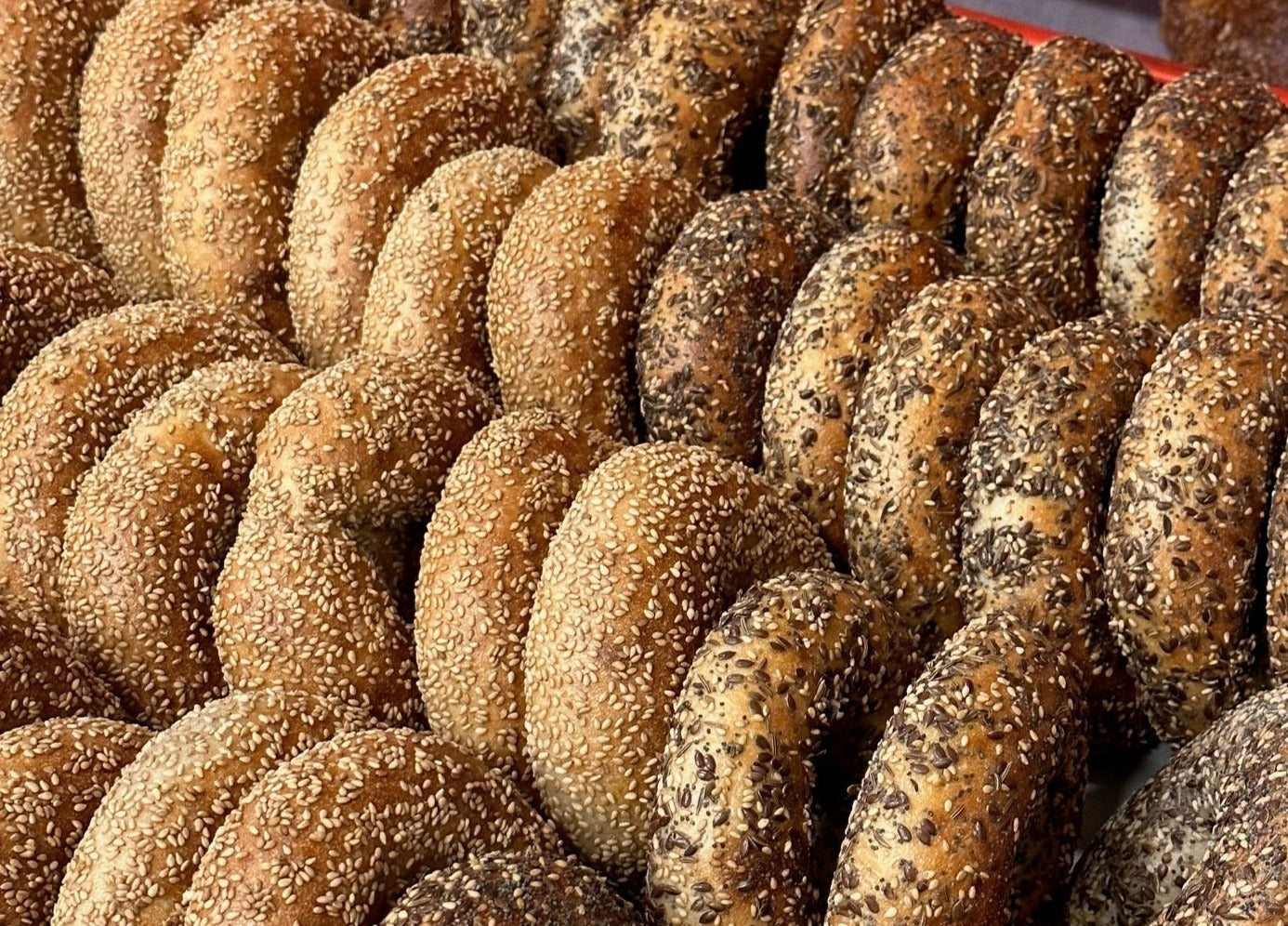 1/2 Dozen Bagels